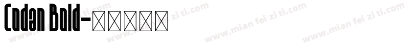 Codan Bold字体转换